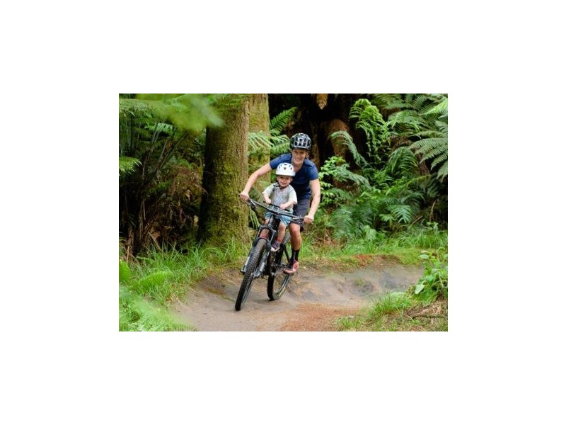 SHOTGUN Kids Mountain Bike Seat click to zoom image