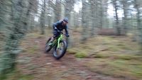 Singletrack trails above Aviemore